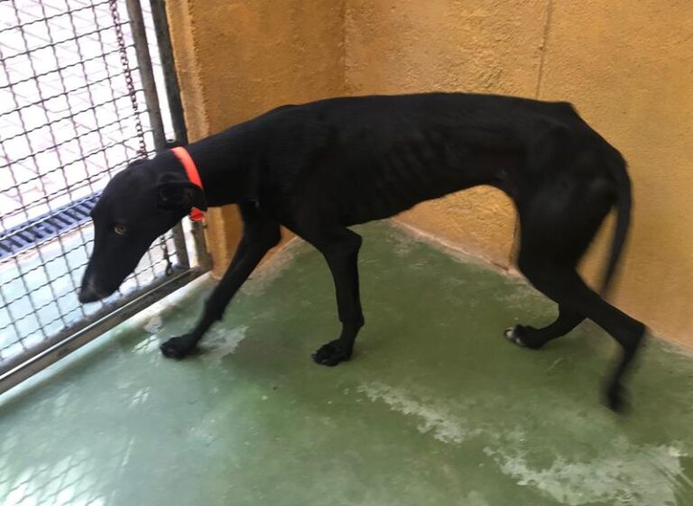 multimedia-foto60116-727-1