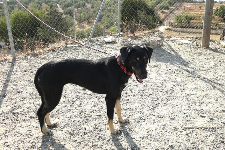 multimedia-foto60135-235-1