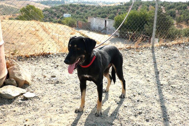 multimedia-foto60136-235-1