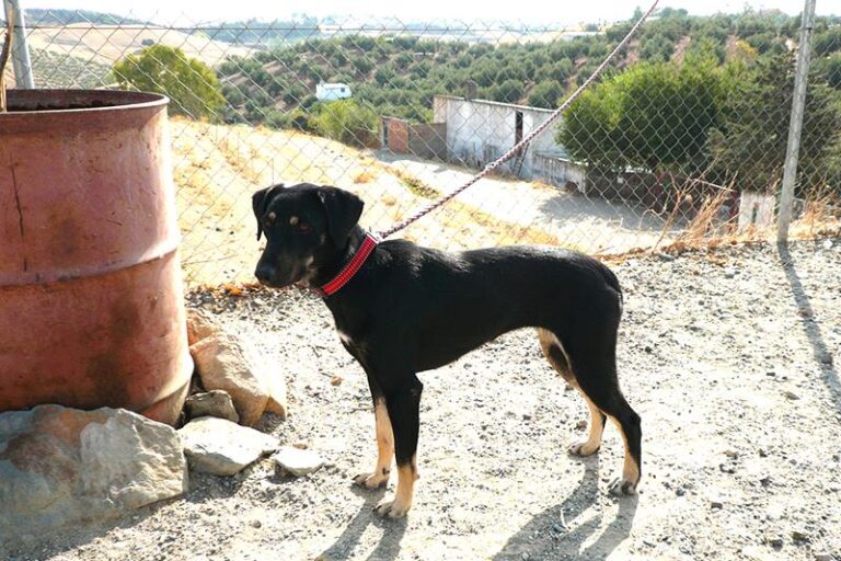 multimedia-foto60137-235-1