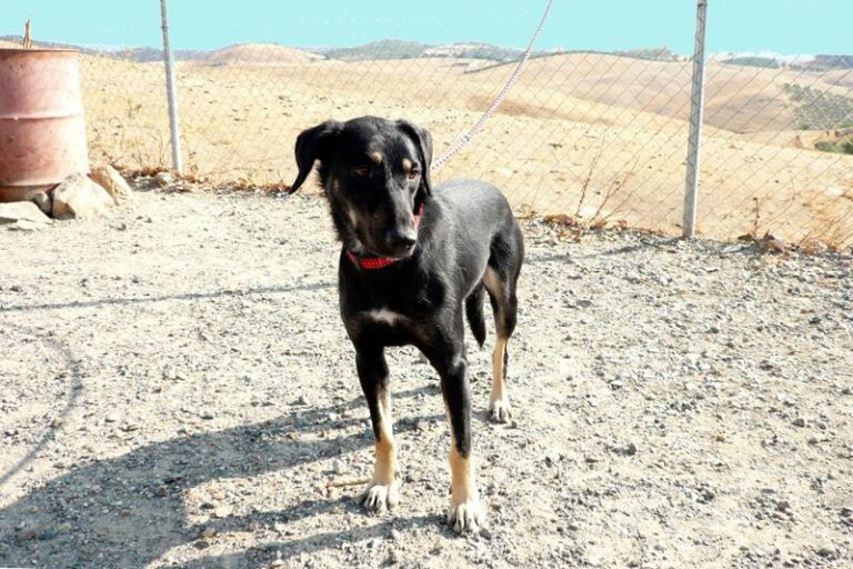 multimedia-foto60138-236-1