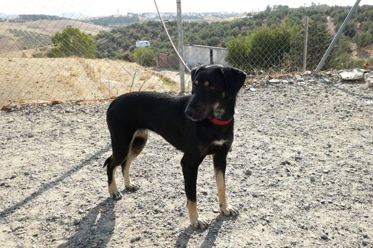 multimedia-foto60139-236-1