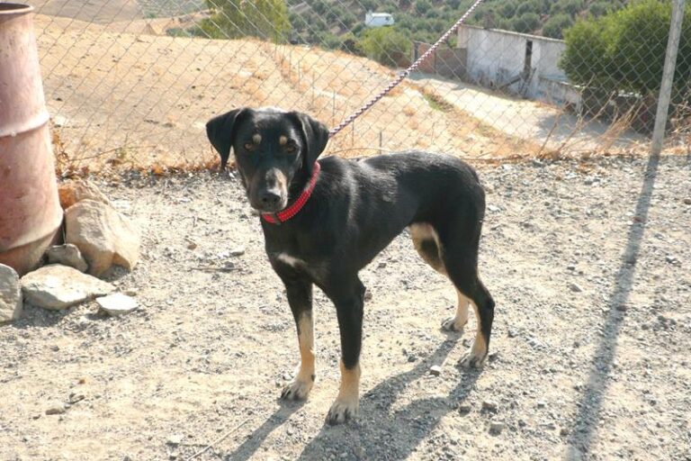 multimedia-foto60140-257-1