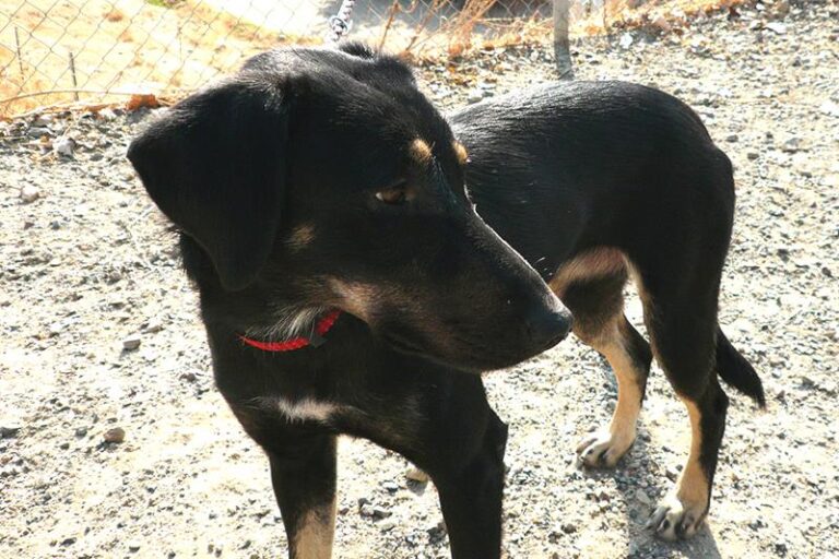 multimedia-foto60141-258-1