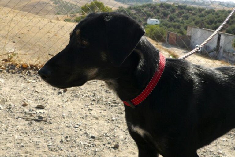 multimedia-foto60142-258-1