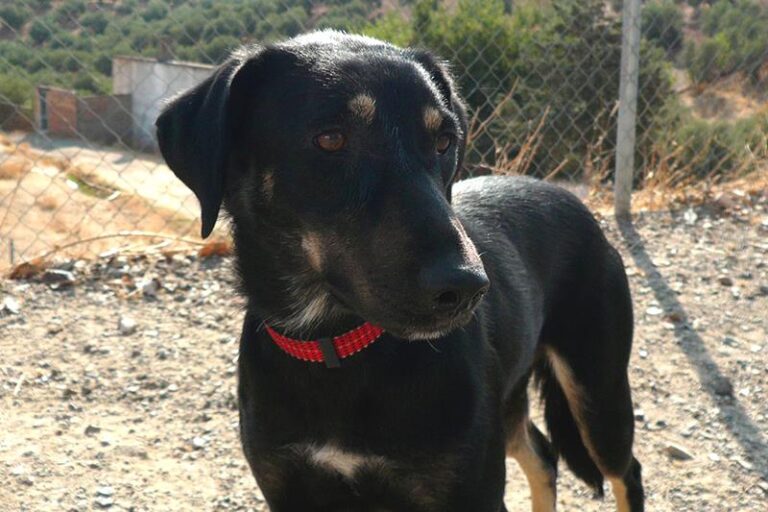 multimedia-foto60143-258-1