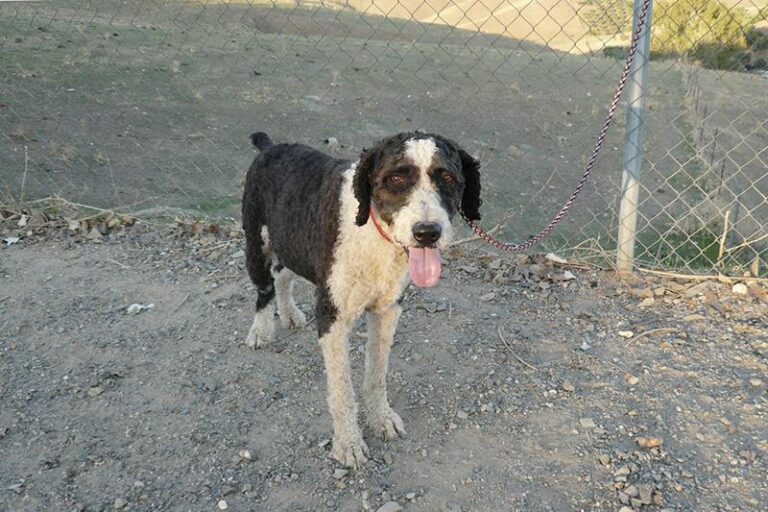 multimedia-foto60196-990-1