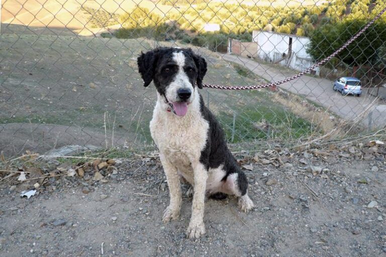 multimedia-foto60197-990-1