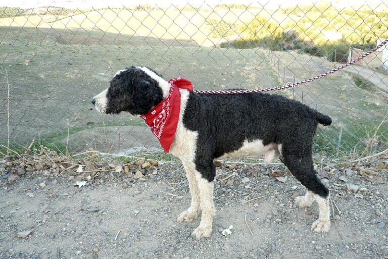 multimedia-foto60198-990-1