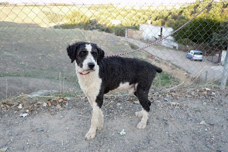 multimedia-foto60199-990-1