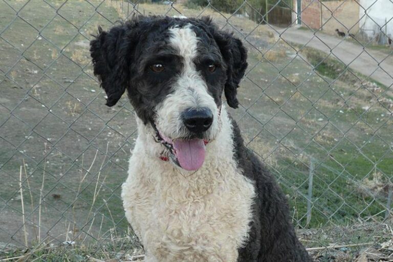 multimedia-foto60200-990-1