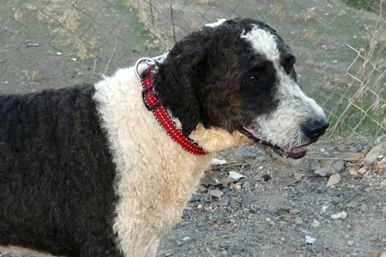 multimedia-foto60201-991-1