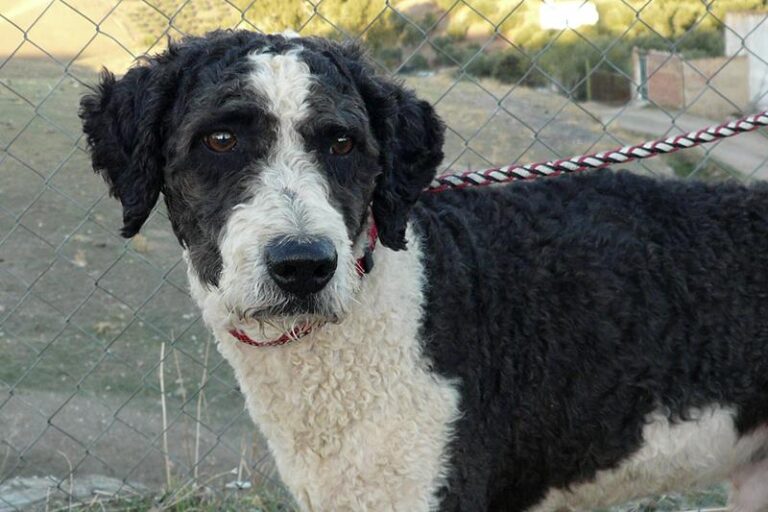 multimedia-foto60202-991-1