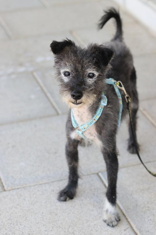 multimedia-foto60206-878-1