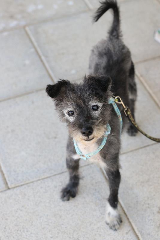 multimedia-foto60207-878-1