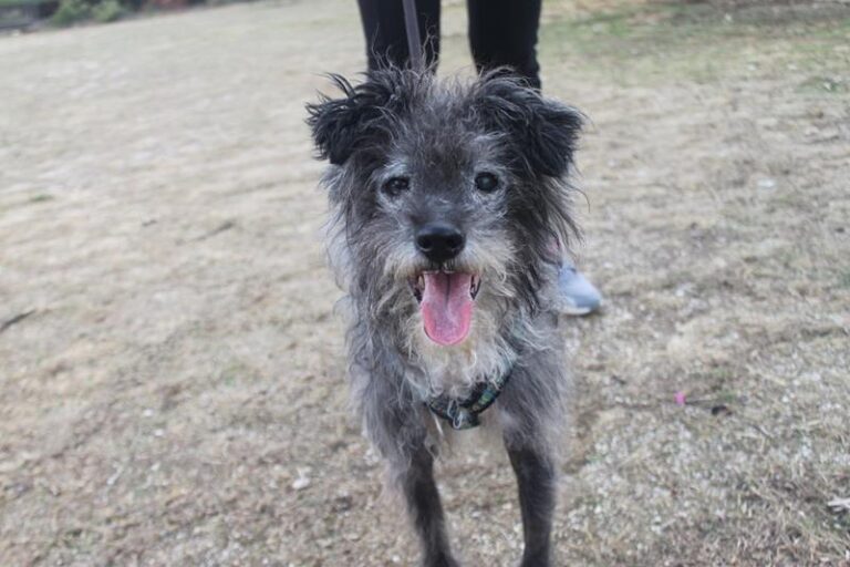 multimedia-foto60208-879-1