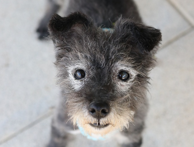 multimedia-foto60210-879-1