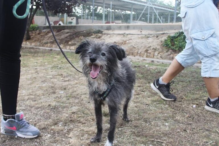 multimedia-foto60211-879-1