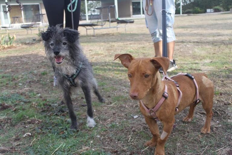 multimedia-foto60212-972-1