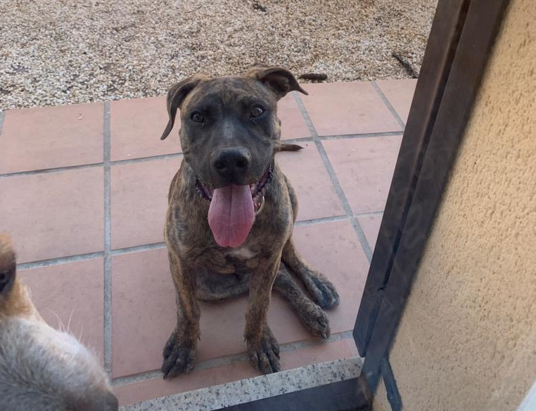 multimedia-foto60214-884-1