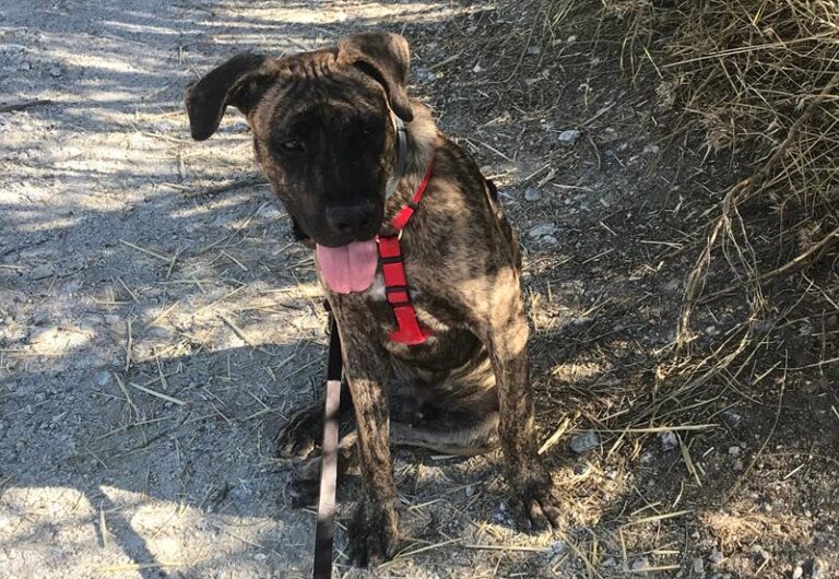 multimedia-foto60215-884-1