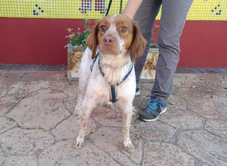 multimedia-foto60216-322-1