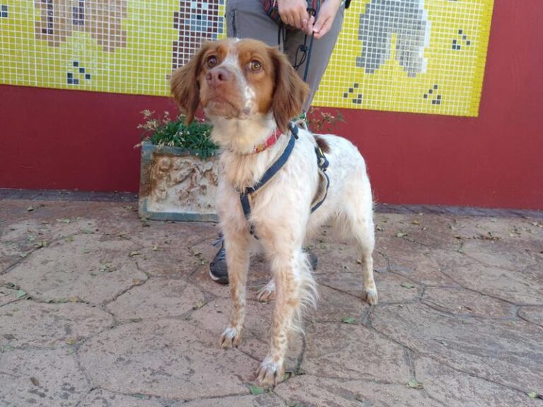 multimedia-foto60217-322-1