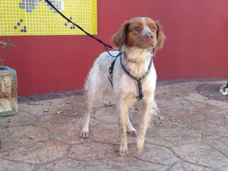 multimedia-foto60218-322-1