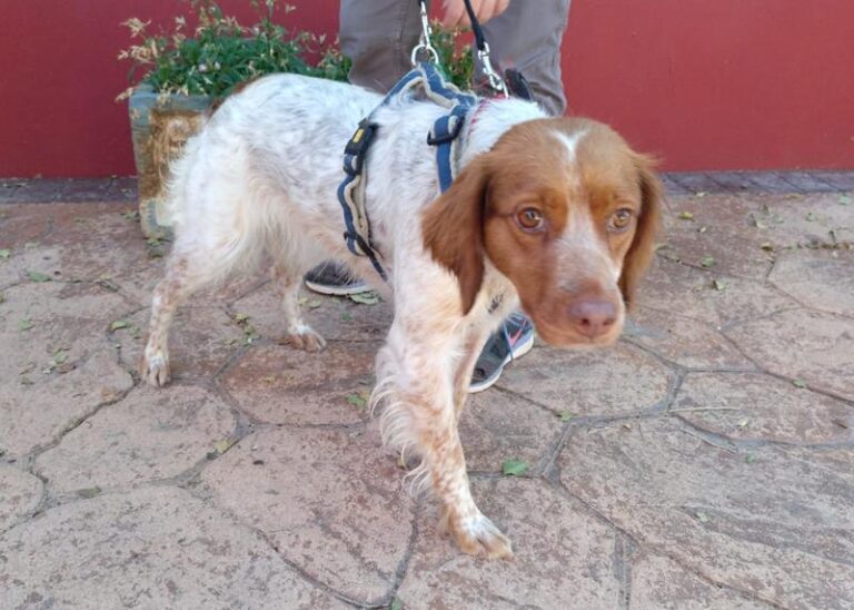 multimedia-foto60219-322-1