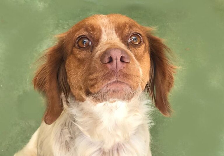 multimedia-foto60220-322-1