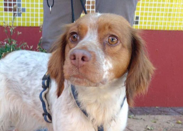 multimedia-foto60221-323-1