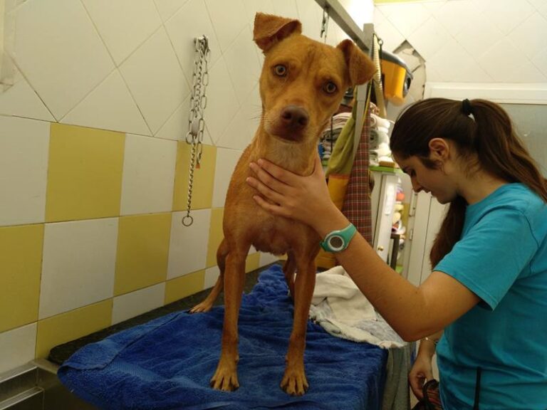 multimedia-foto60222-378-1