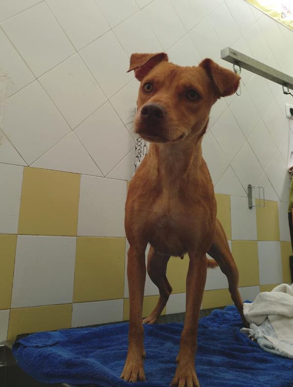 multimedia-foto60223-378-1