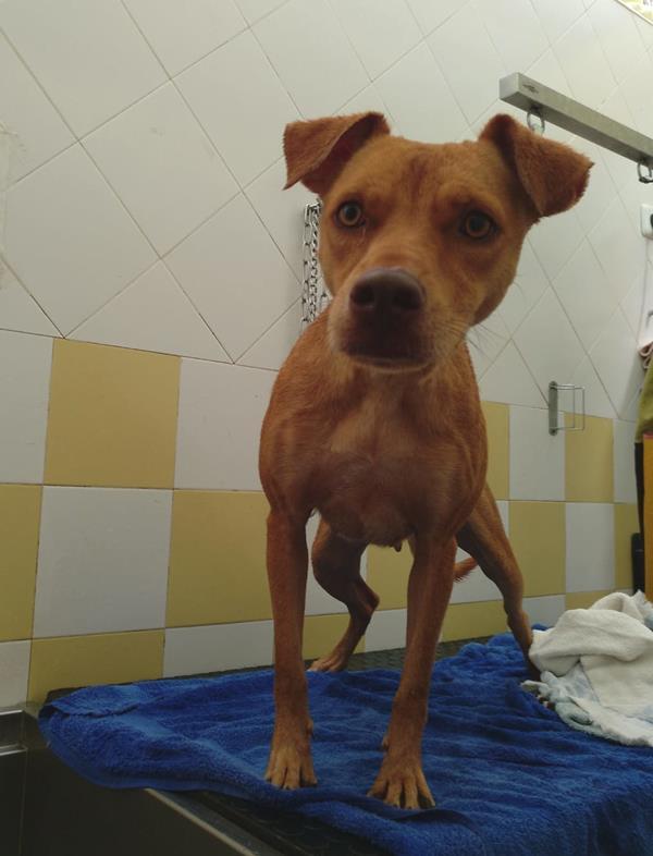 multimedia-foto60224-378-1