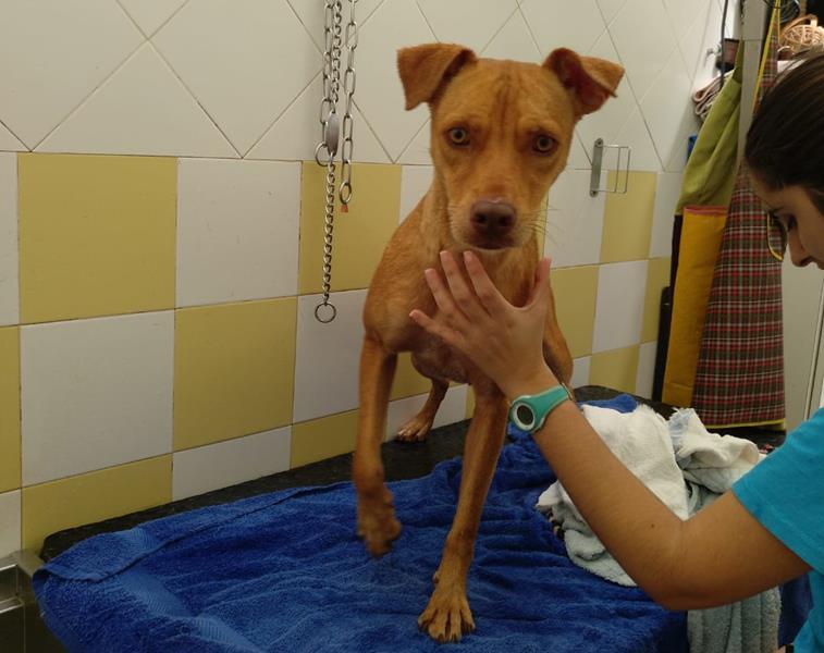 multimedia-foto60225-378-1