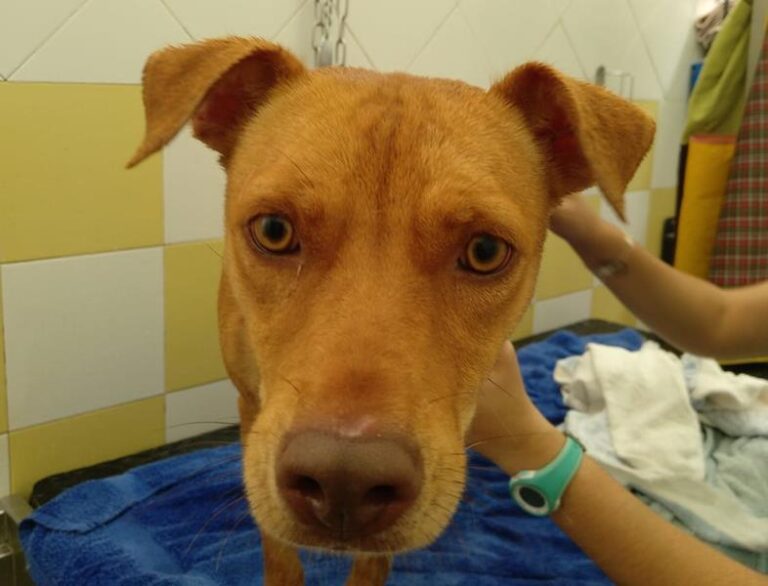 multimedia-foto60226-379-1