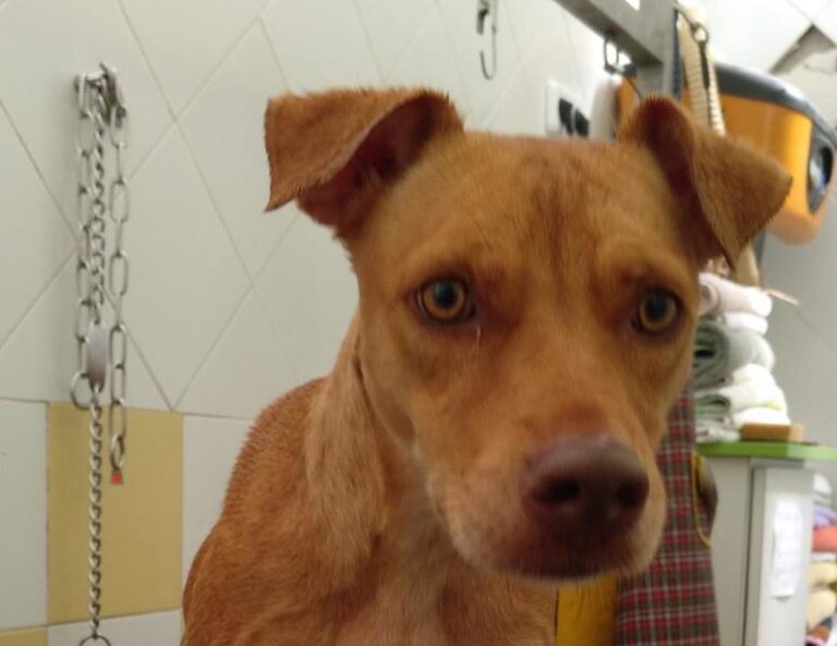 multimedia-foto60227-379-1