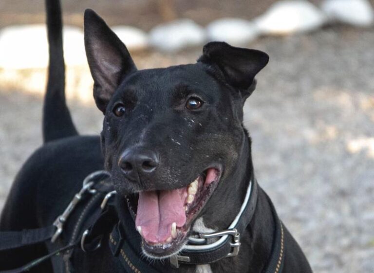 multimedia-foto60229-753-1