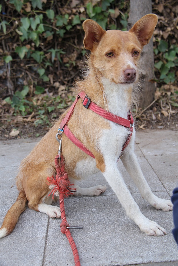 multimedia-foto60232-193-1