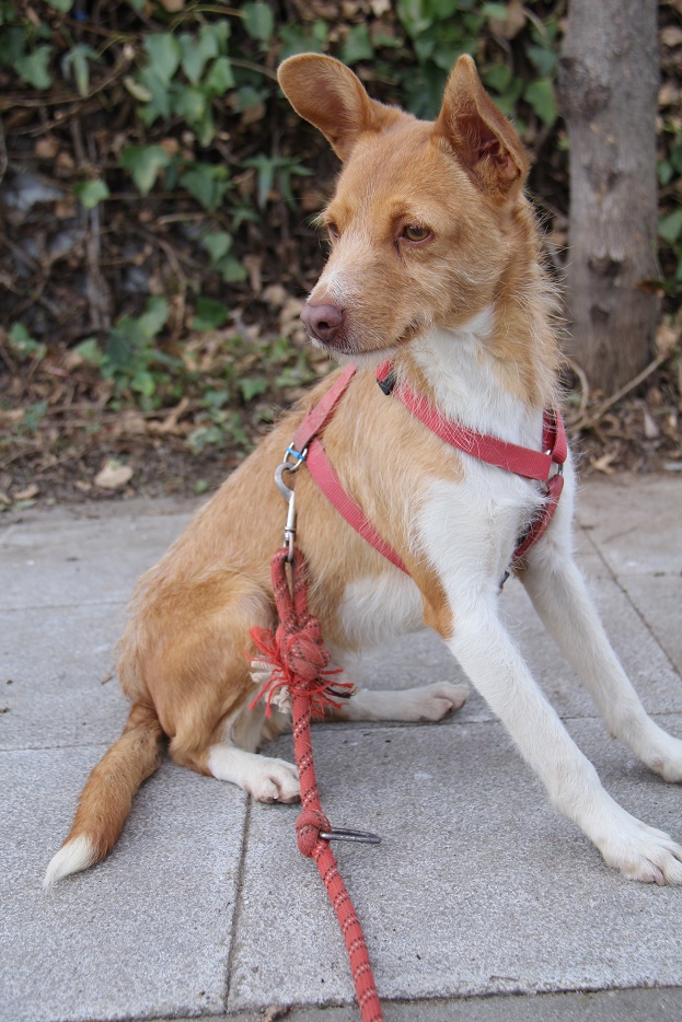 multimedia-foto60233-193-1