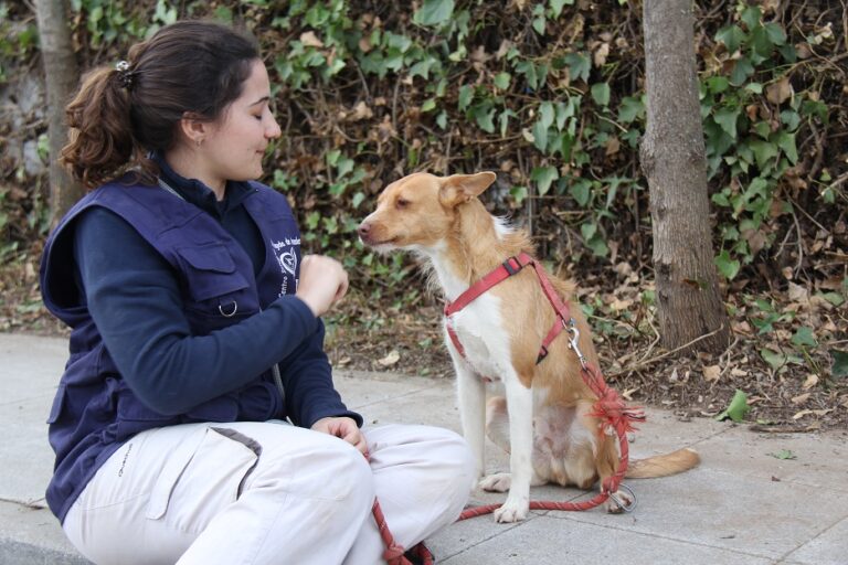 multimedia-foto60234-193-1