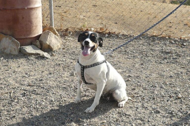 multimedia-foto60267-966-1