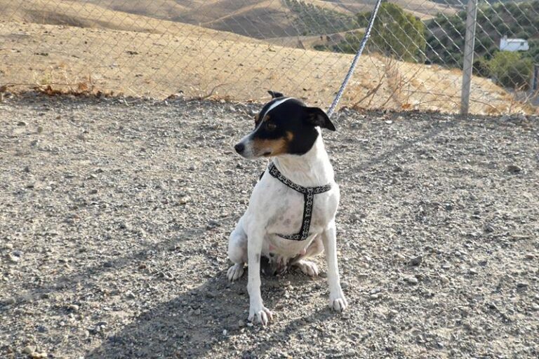 multimedia-foto60269-966-1