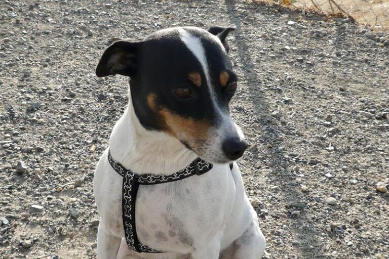 multimedia-foto60270-967-1