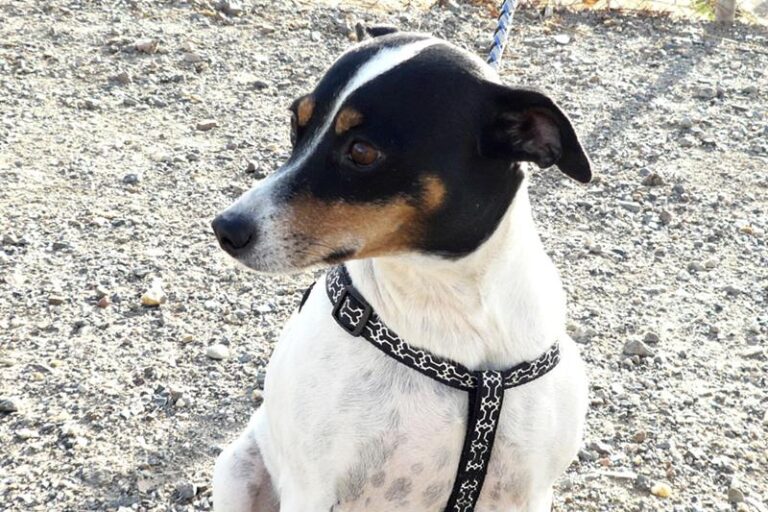 multimedia-foto60272-967-1