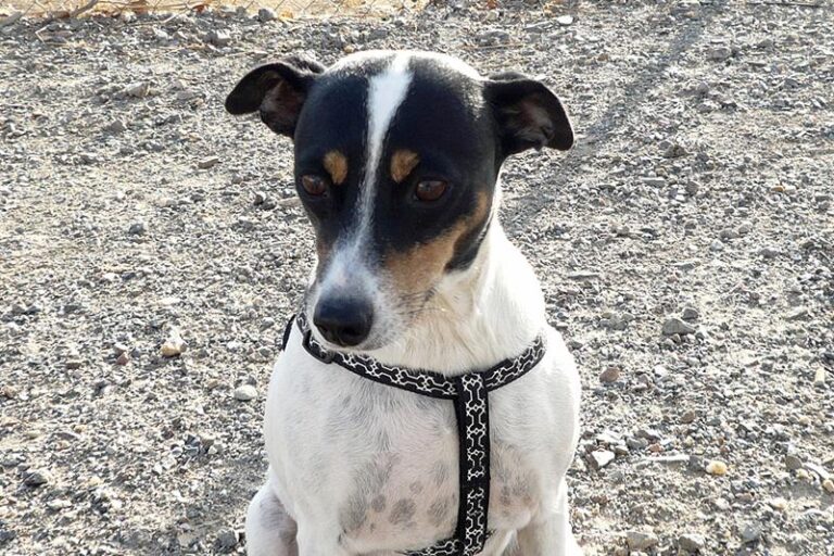 multimedia-foto60273-967-1