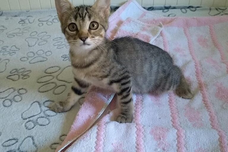 multimedia-foto60279-783-1