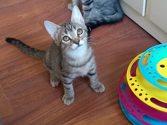 multimedia-foto60280-831-1