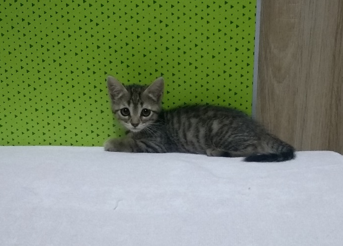 multimedia-foto60282-831-1