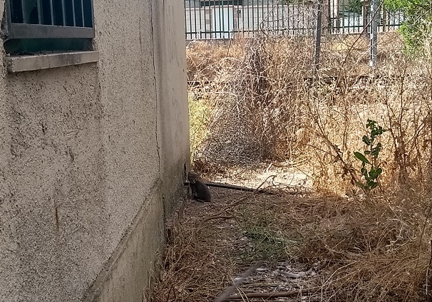 multimedia-foto60283-832-1